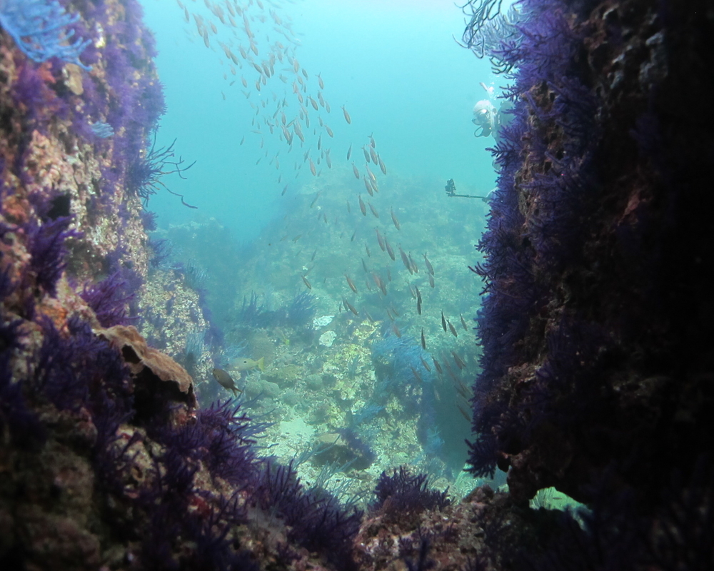 Sharm Rocks (Three Rocks)